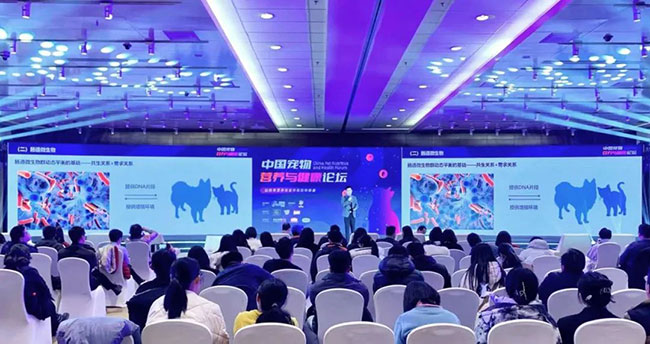 首页| CA88集团中国唯一官方网站